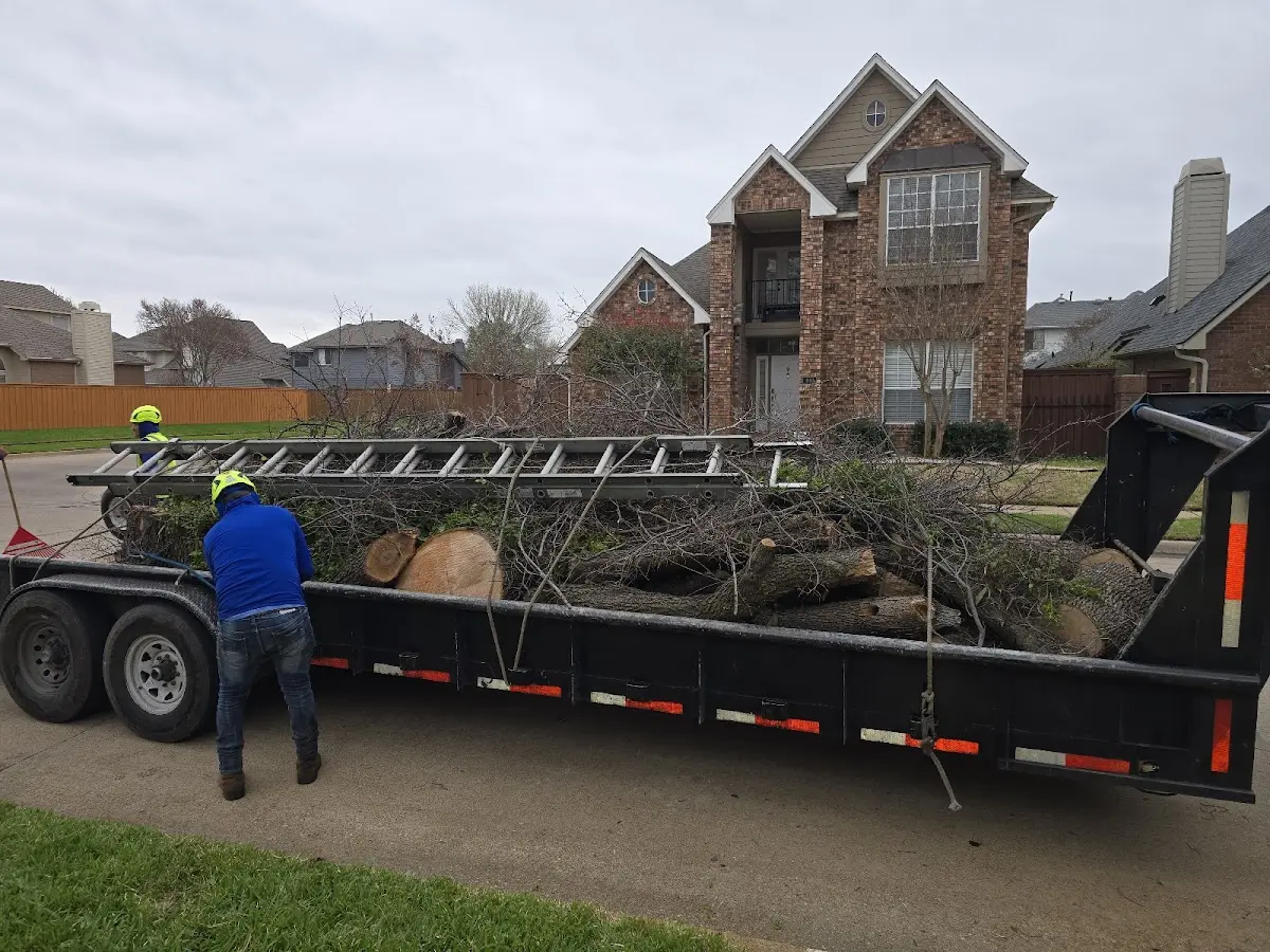 Expert Tree Fertilization with proper safety equipment in Geronimo